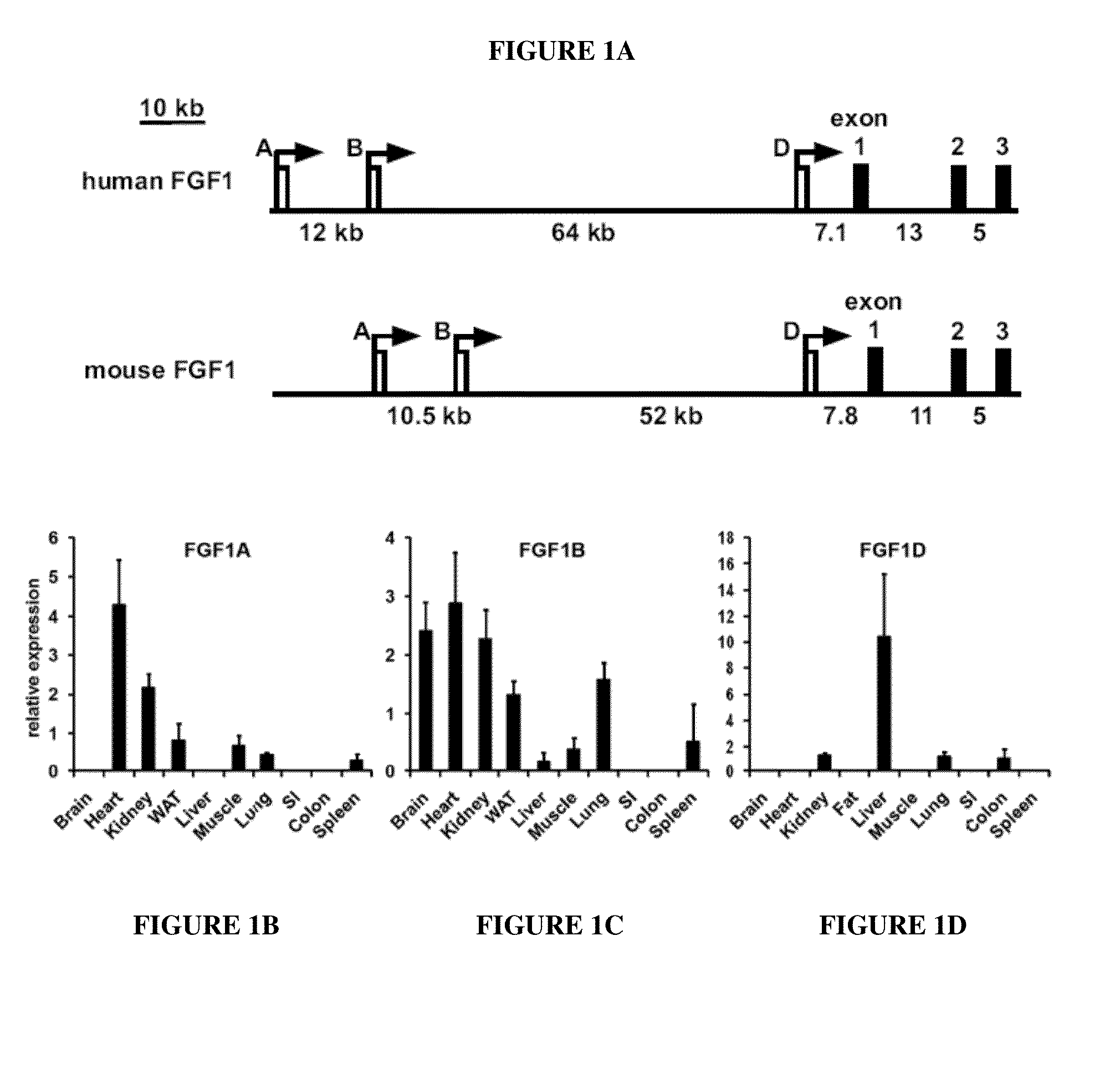 Methods for treating metabolic disorders using fgf