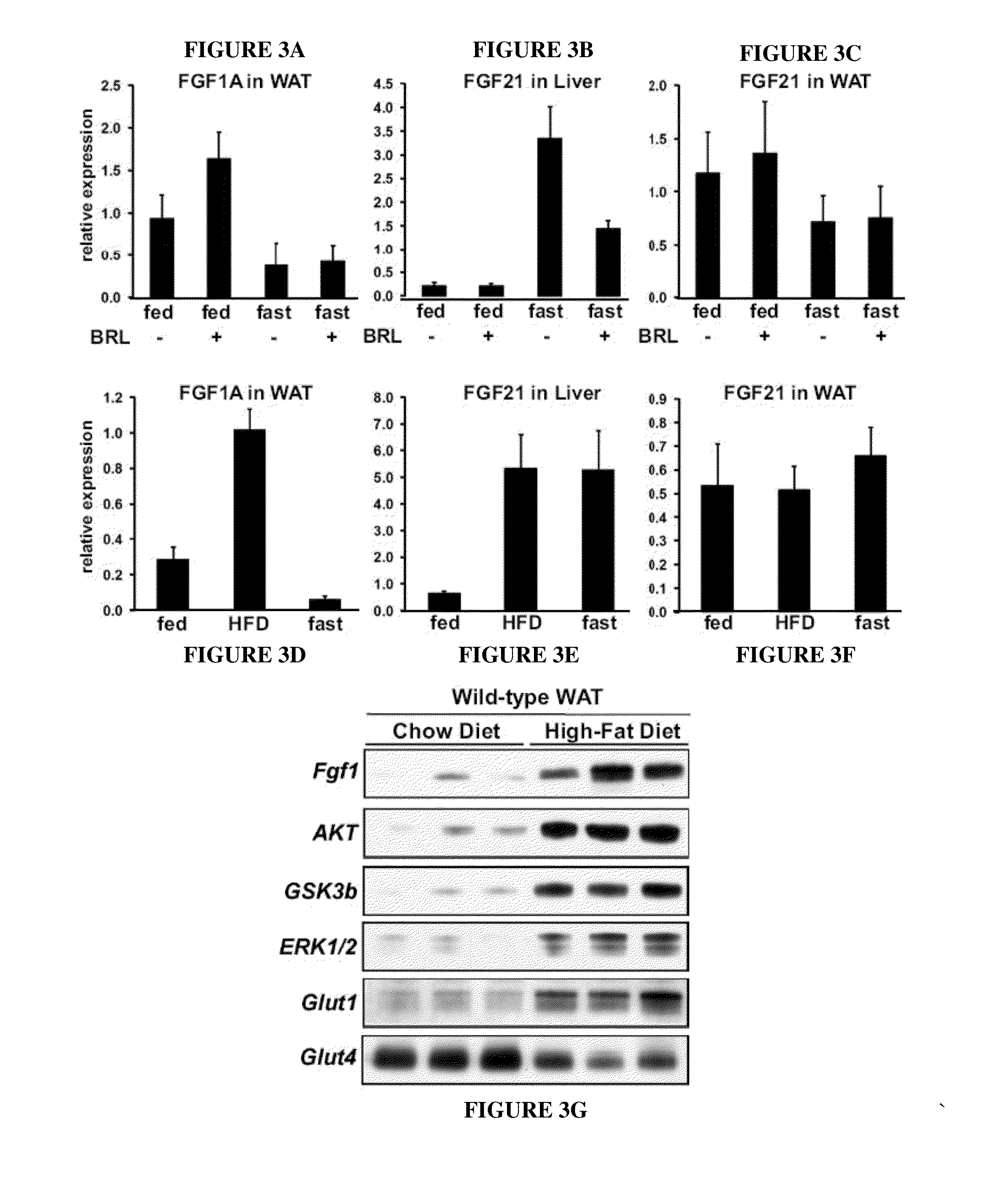 Methods for treating metabolic disorders using fgf