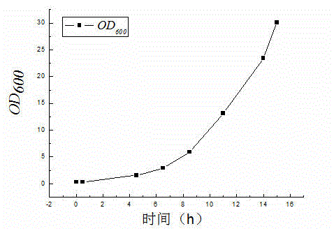 Escherichia coli YPC-SA-1 and application thereof