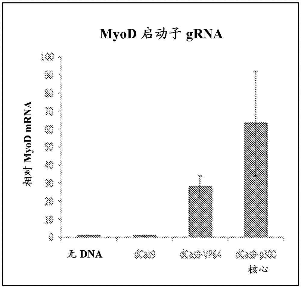 Rna-guided gene editing and gene regulation