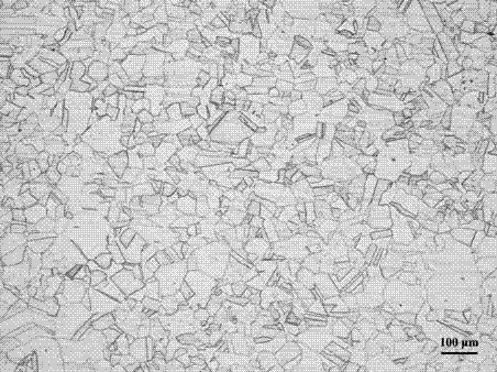 Metallographic etchant and erosion method of austenitic stainless steel