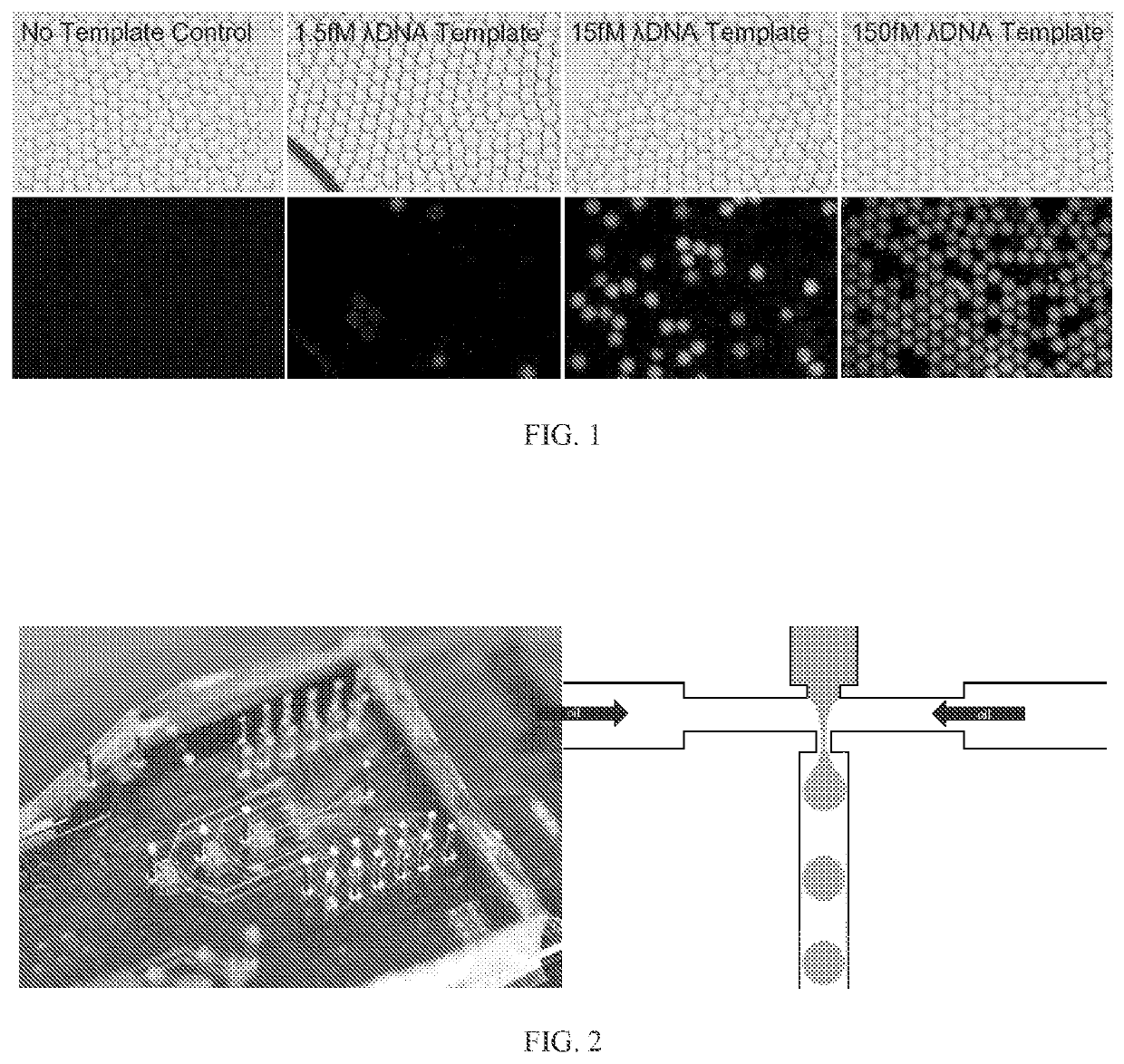 Methods for quantitating DNA using digital multiple displacment amplification