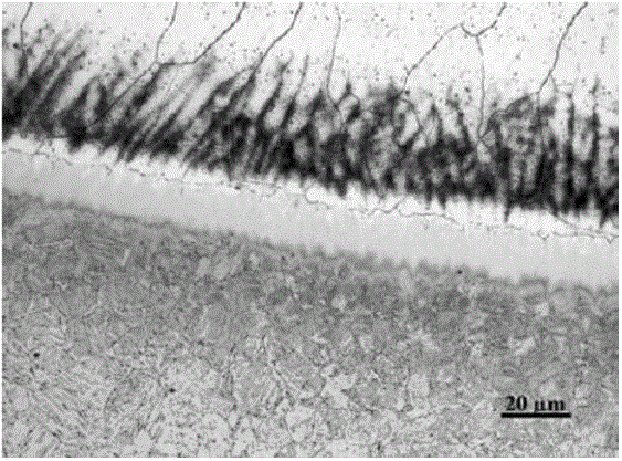 Method for performing stainless steel strip-electrode submerged-arc build-up welding on low-alloy parent steel