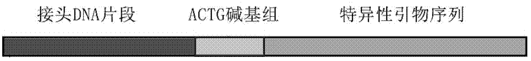 Method for qualitatively and quantitatively detecting nucleic acid based on high-flux sequencing technology