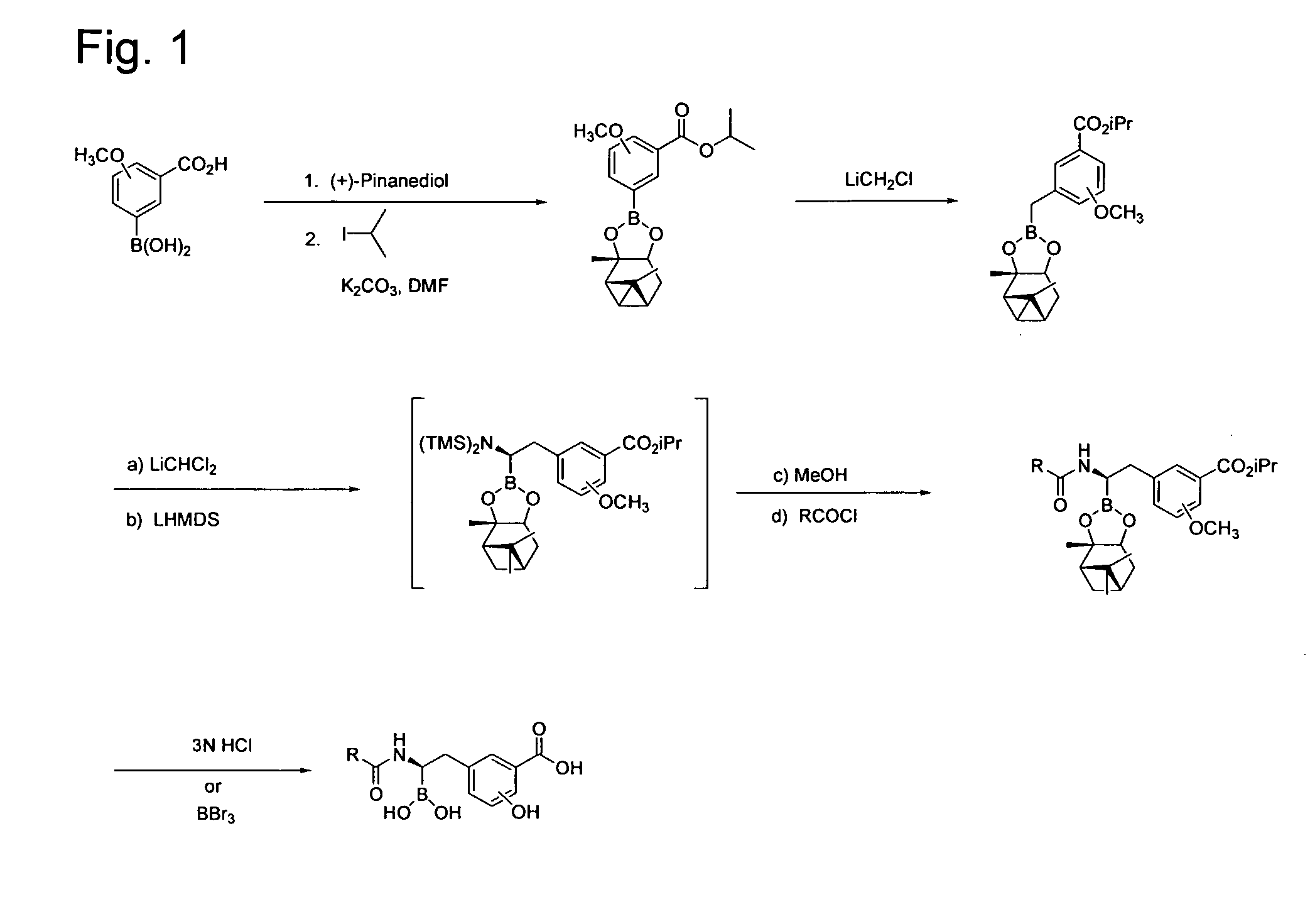 Beta-lactamase inhibitors