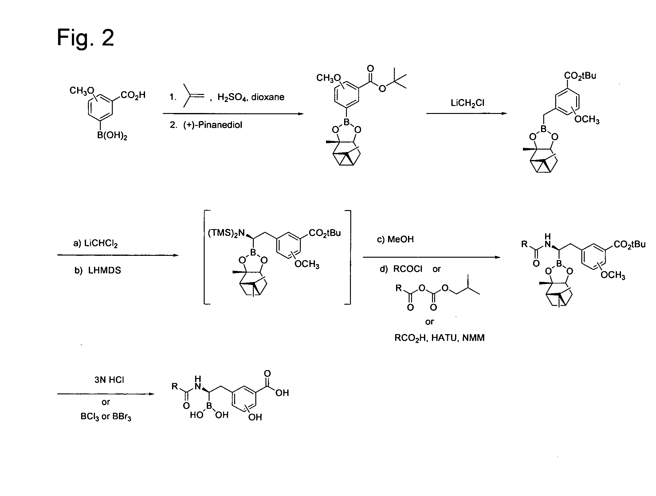 Beta-lactamase inhibitors