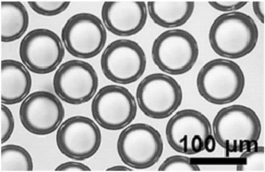 Method for preparing polyvinyl alcohol/silicon dioxide composite micro-sphere with core-shell structure by one-step process