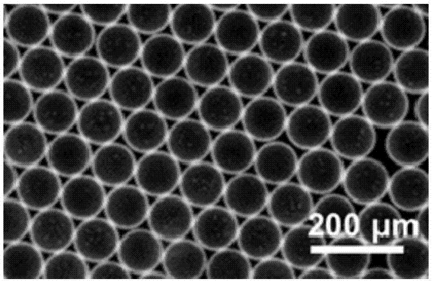 Method for preparing polyvinyl alcohol/silicon dioxide composite micro-sphere with core-shell structure by one-step process