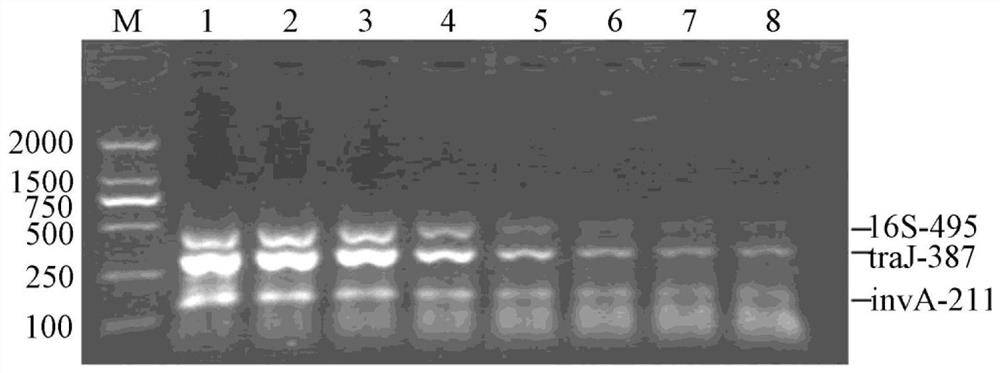 A kind of pullorum salmonella detection kit and using method thereof