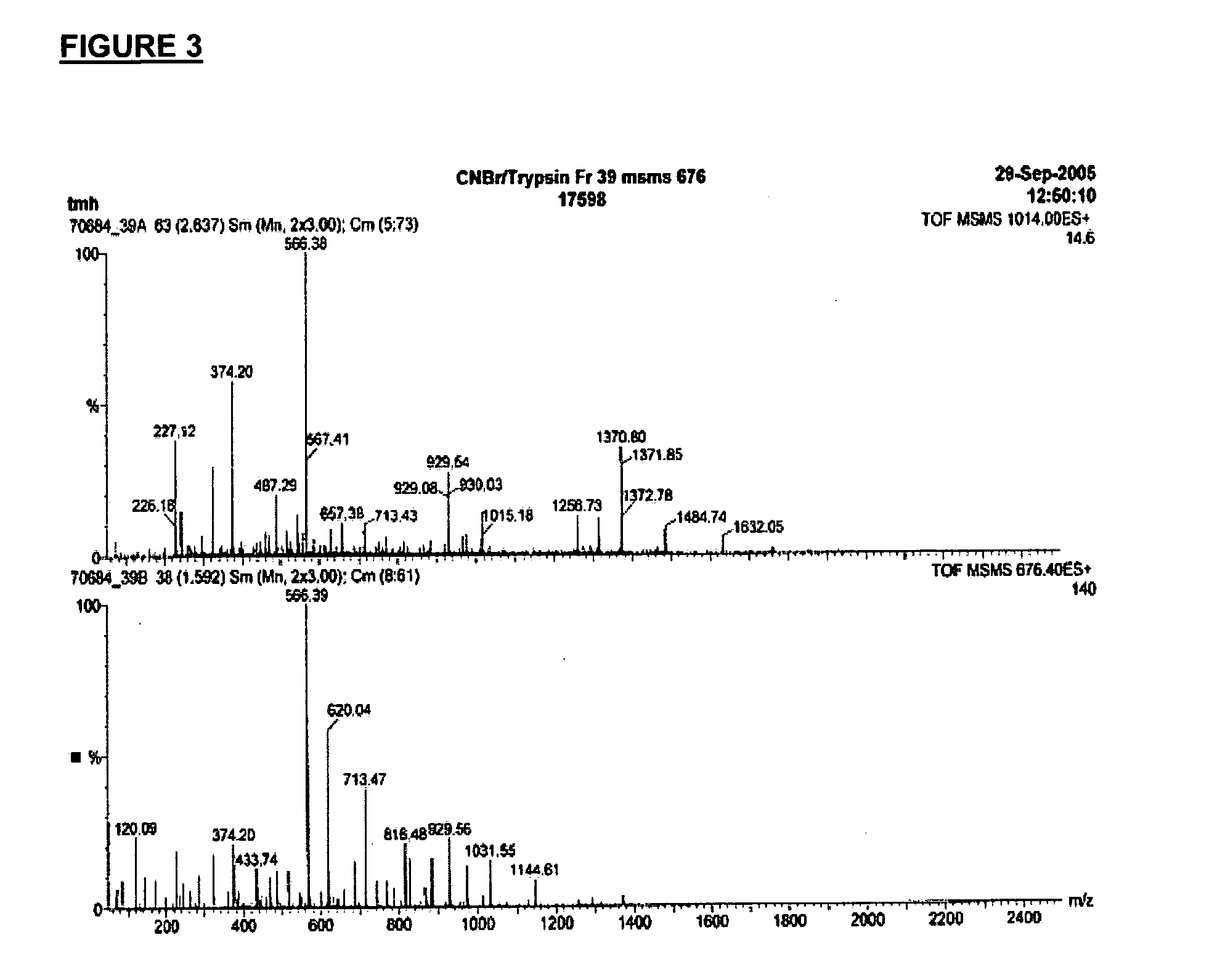 Fusion or linked proteins with extended half life