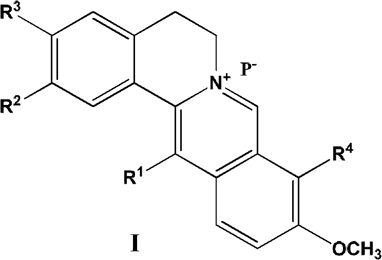 13-substituted berberine derivatives and preparation method thereof, and uses of 13-substituted berberine derivatives as anti-tuberculosis drugs