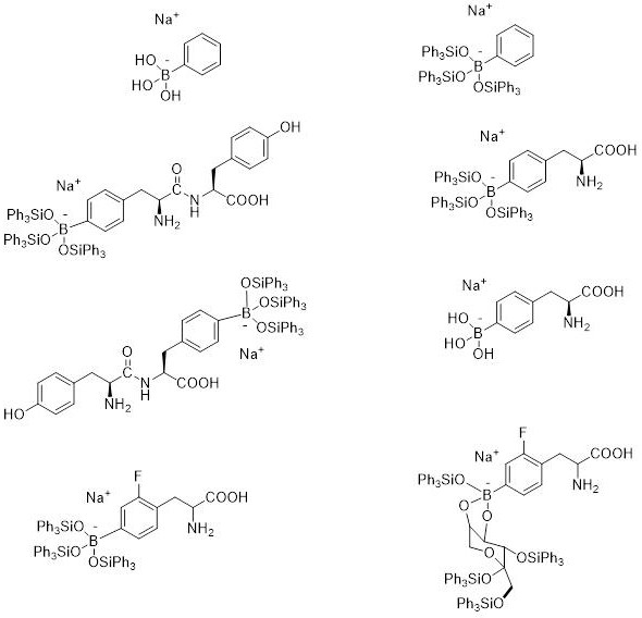 Borate compound for cancer boron neutron capture therapeutic drug and preparation thereof