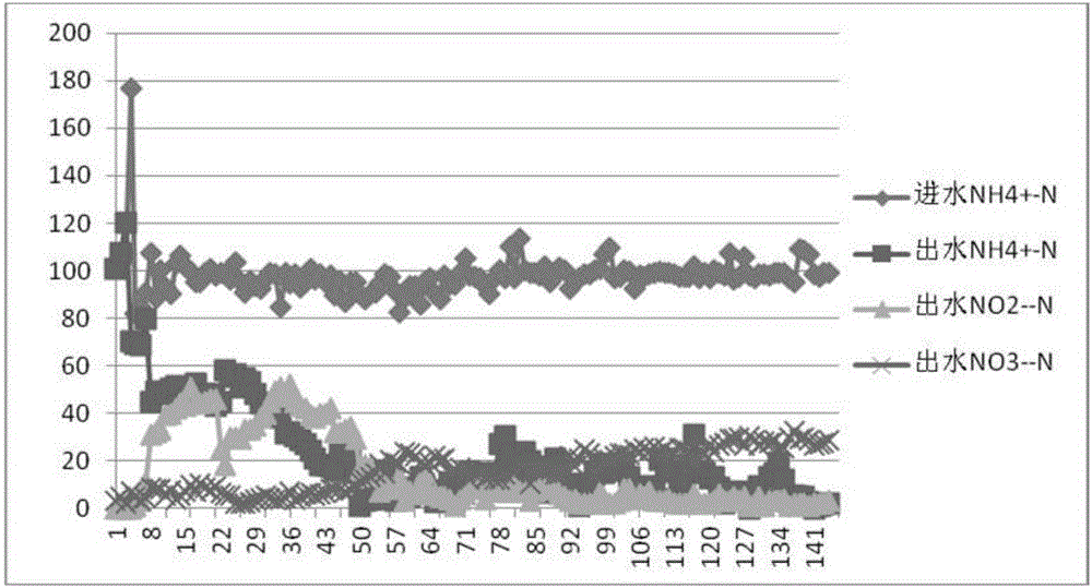 Method for starting nitration reaction in microaerobic condition