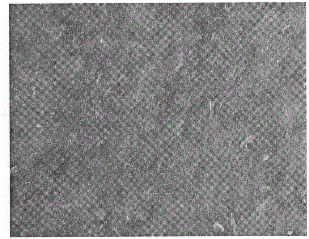 Method of preparing homogenesis composite film by spiral fiber in coconut fiber and its application