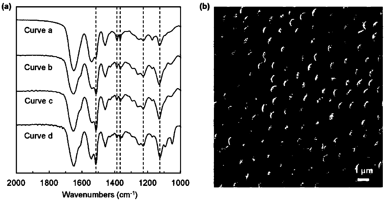 Lead ion responsive smart membrane, preparation method thereof and detection method for lead ions in water sample