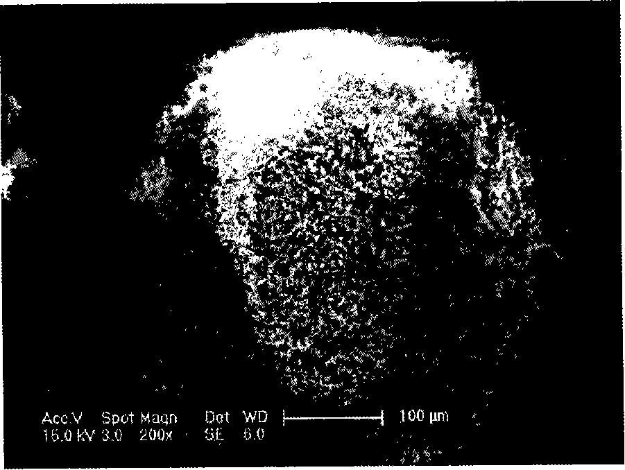 Cellulose microsphere as well as preparation method and use thereof