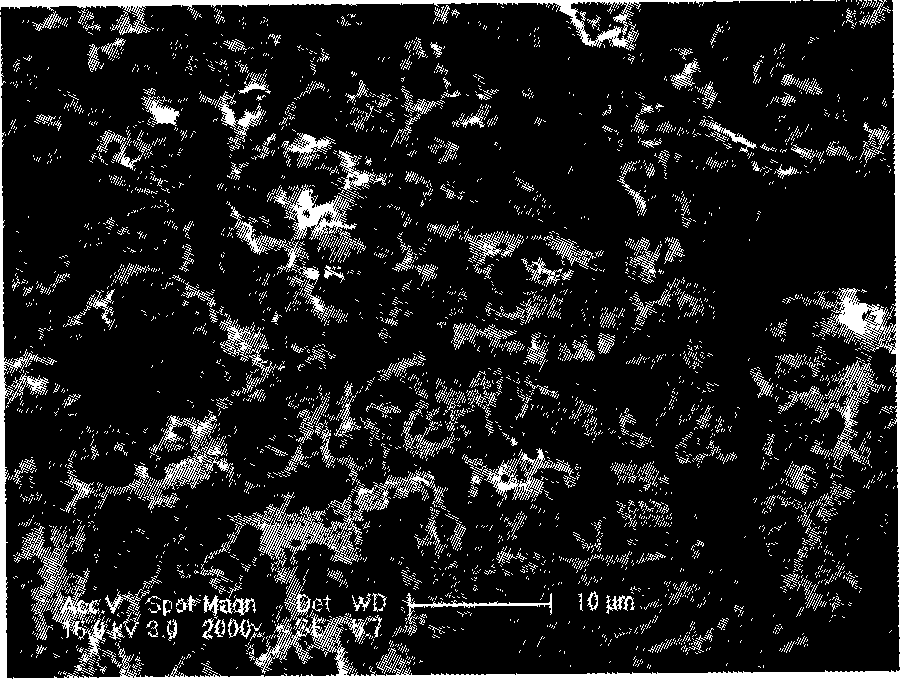 Cellulose microsphere as well as preparation method and use thereof