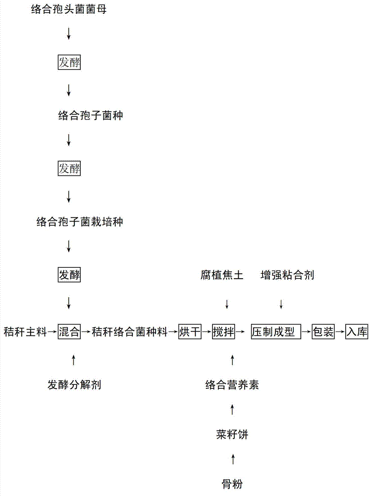 Production method for biological bacteria ecological fertilizer