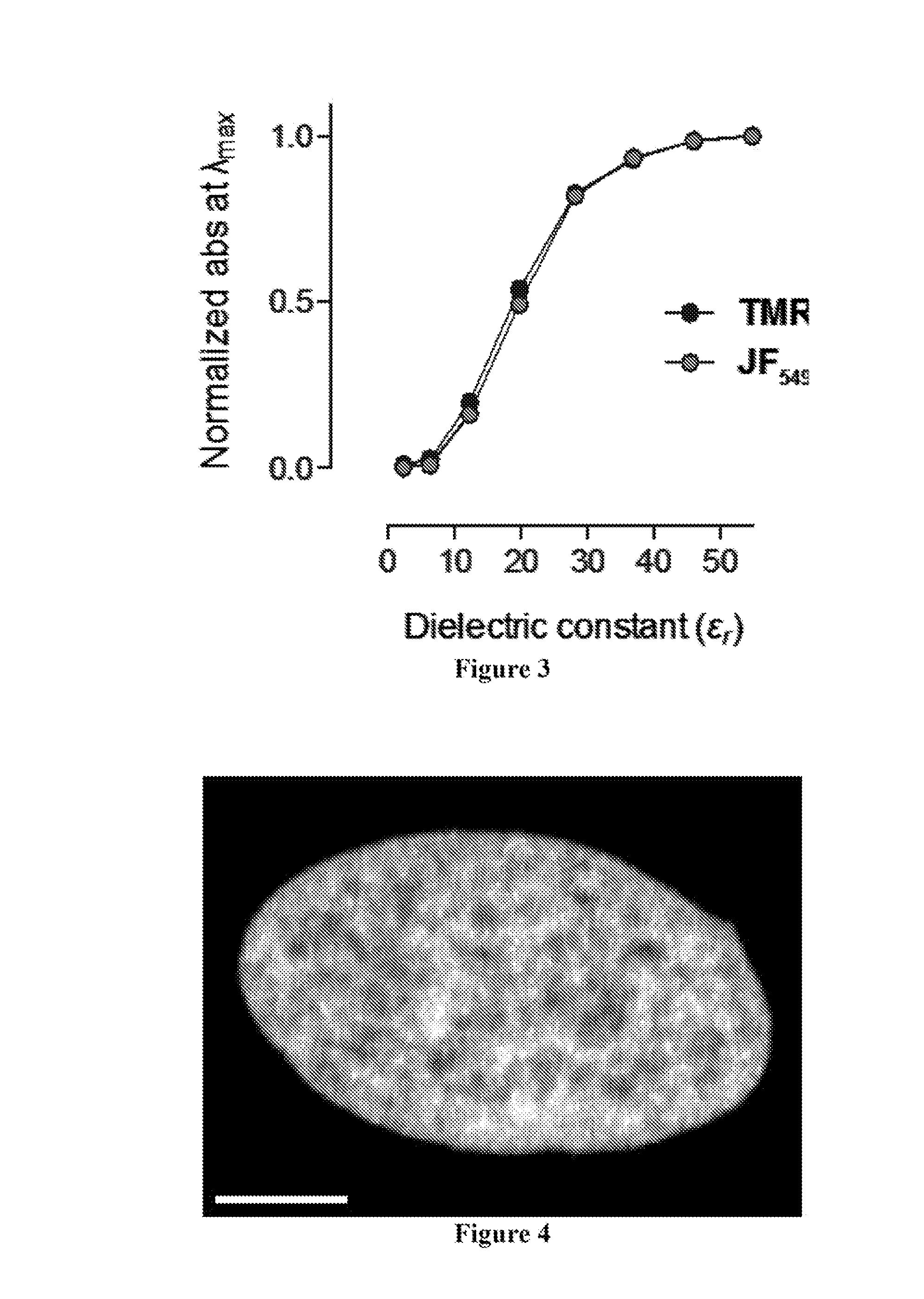 Azetidine-substituted fluorescent compounds