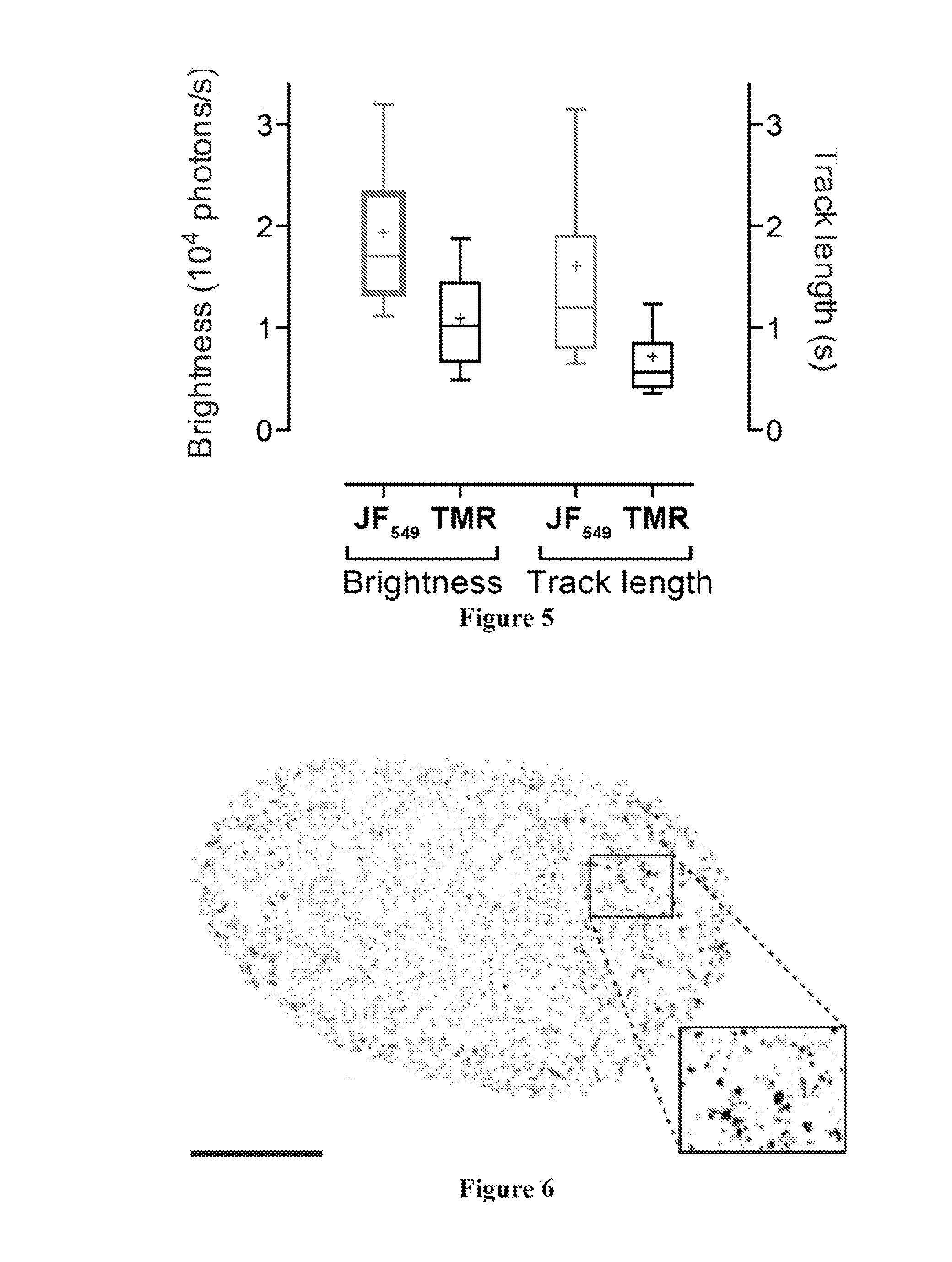 Azetidine-substituted fluorescent compounds