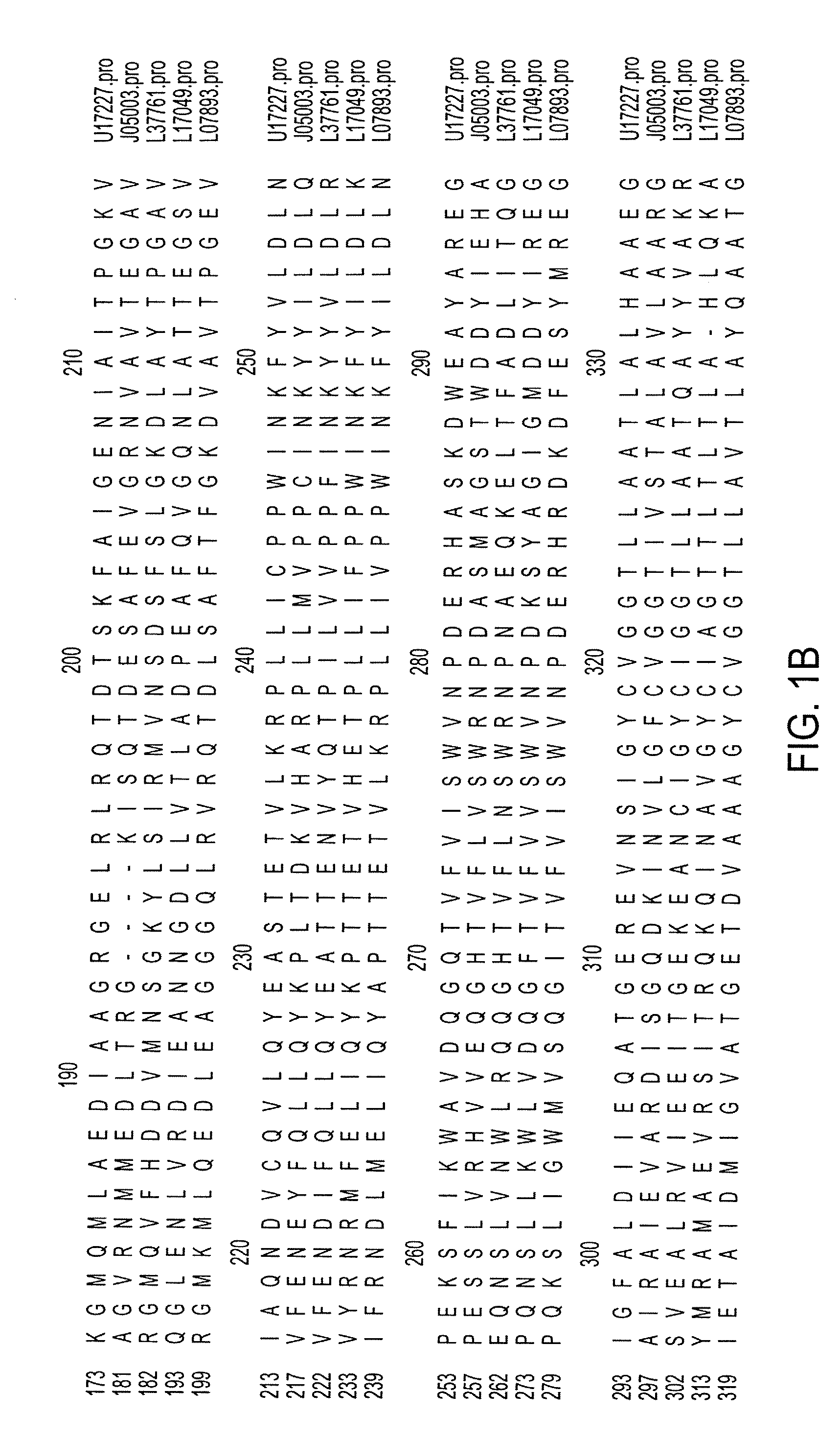 Mutant bacterial strains of the genus sphingomonas deficient in production of polyhydroxybutyrate and a process of clarification of sphingans and compositions thereof