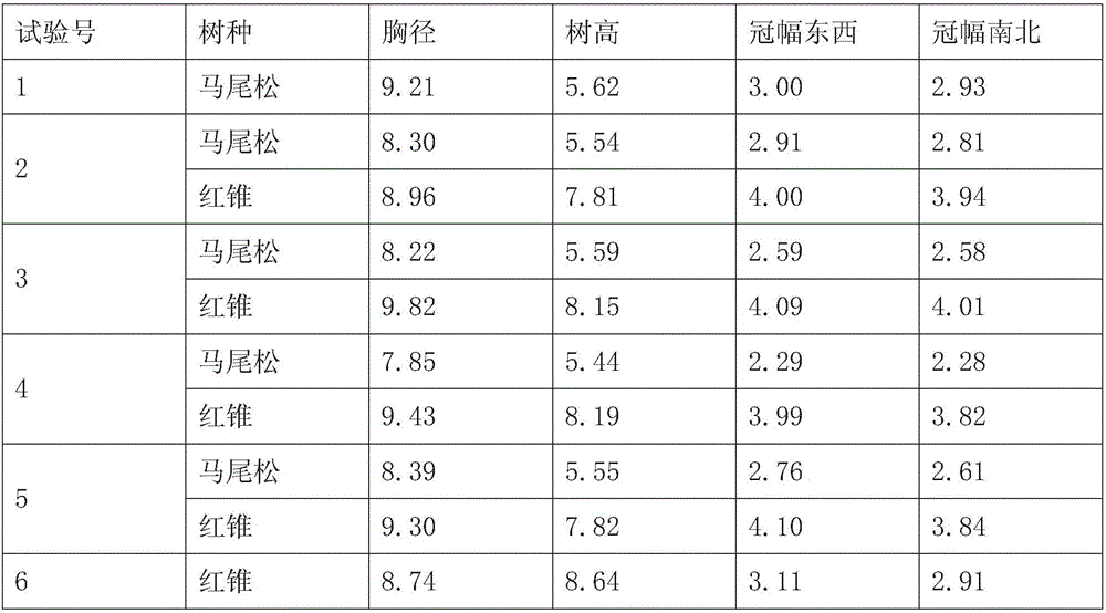 Method for constructing pinus massoniana close-to-nature mixed frost of same age