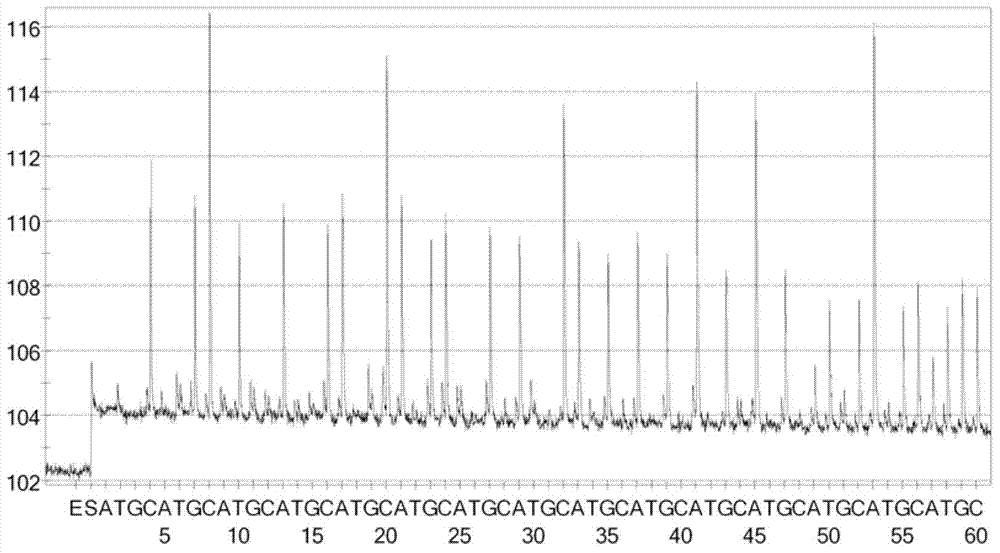 Reagent kit for detecting peste des petits ruminant vaccine poison by pyrophosphoric acid sequencing technology