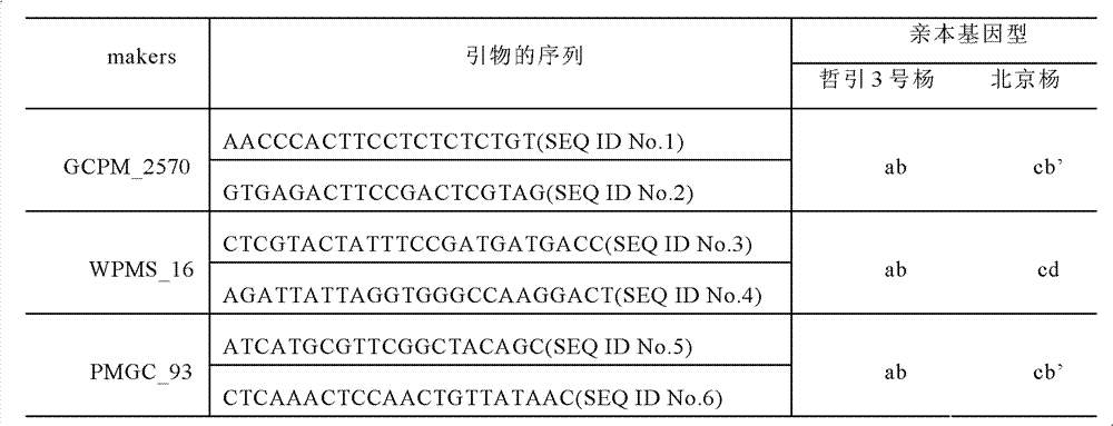 Method for directly identifying homologous recombination of higher plant DNA