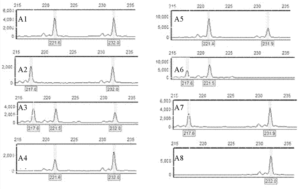 Method for directly identifying homologous recombination of higher plant DNA