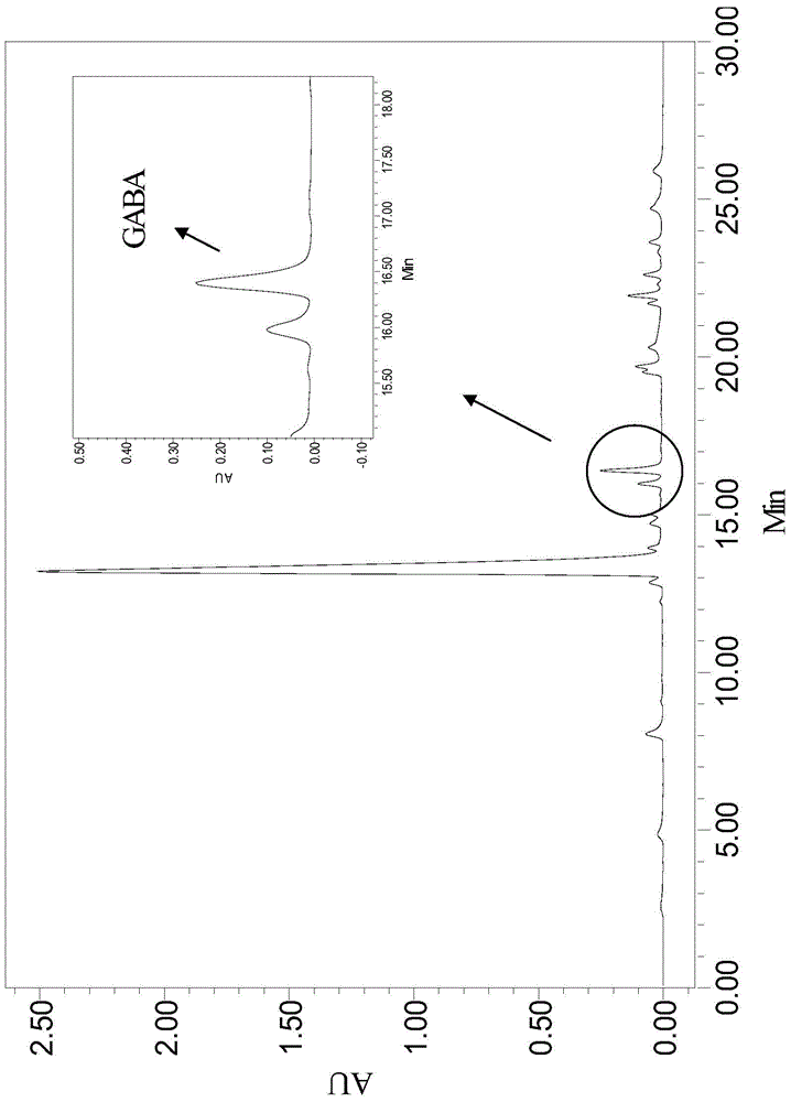 Millet germinated brown rice rich in gamma-aminobutyric acid and preparation method of millet germinated brown rice