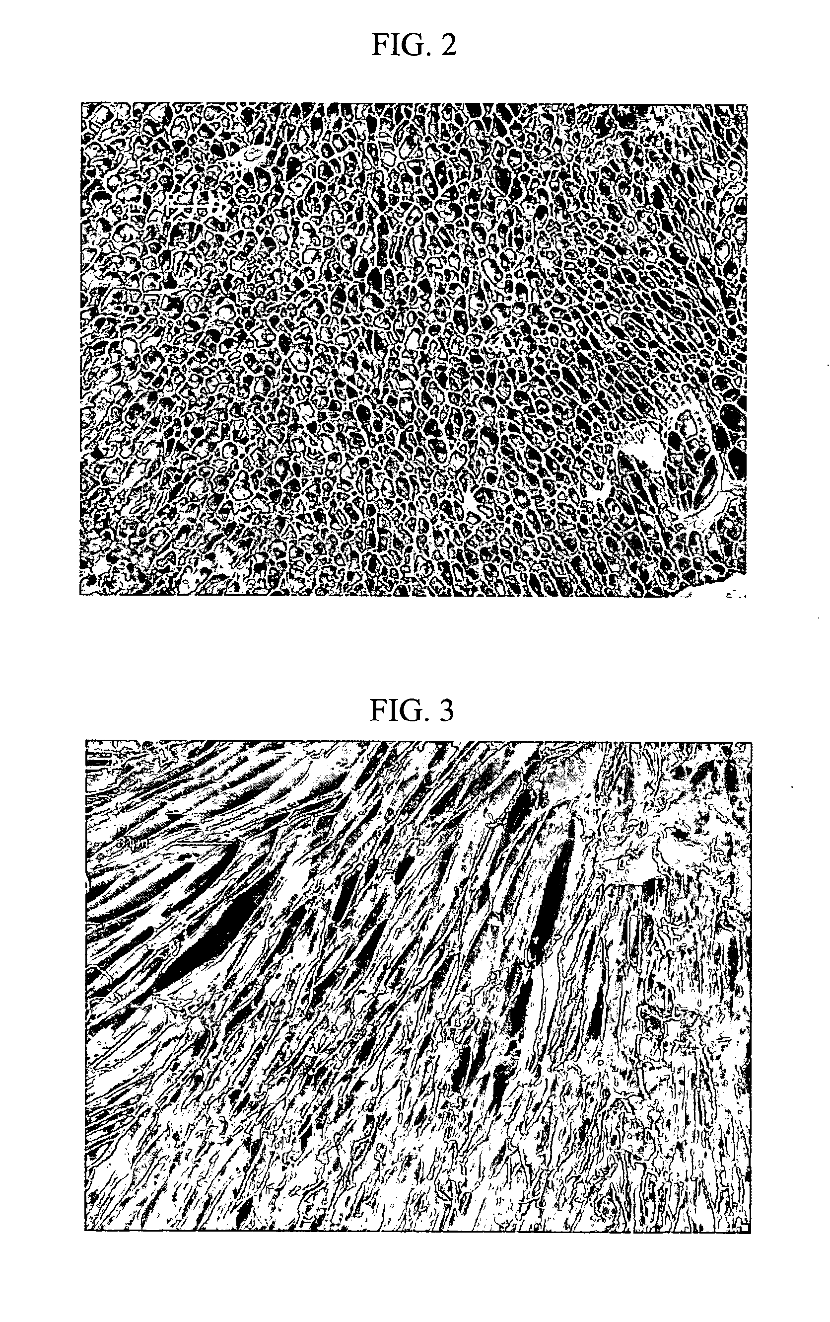 Hydrocolloids and process therefor