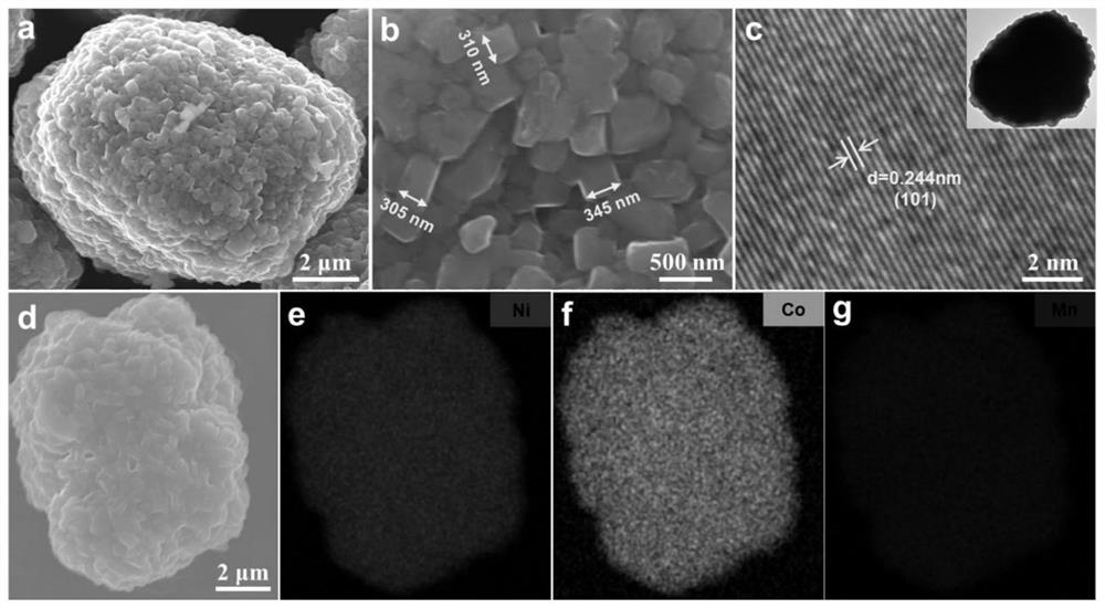 Method for preparing ternary positive electrode material of high-performance lithium ion battery at low ammonia concentration