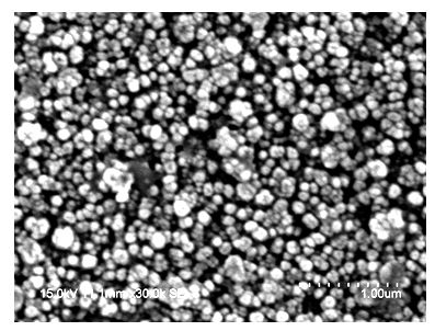 Surface ion nitriding method for medical CoCrMo alloy