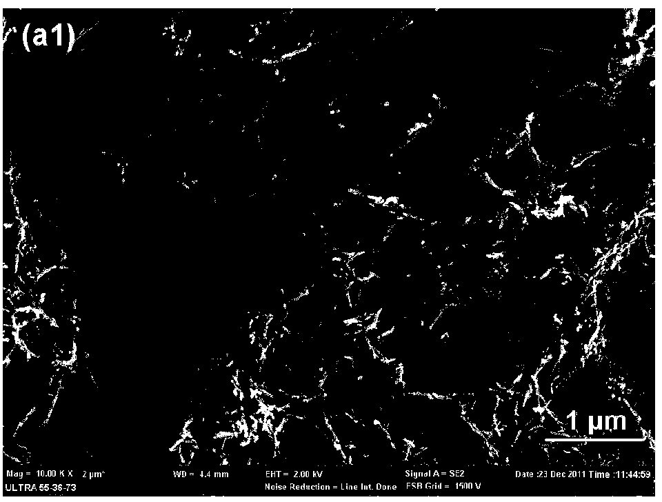 Method for chemically preparing nano microcrystalline cellulose by utilizing moso bamboo