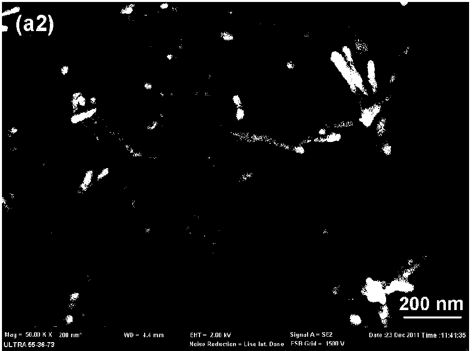 Method for chemically preparing nano microcrystalline cellulose by utilizing moso bamboo