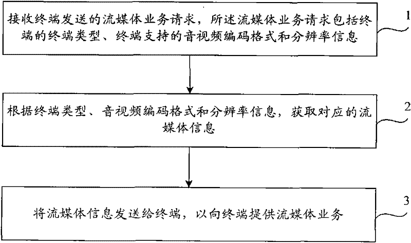 Streaming media information processing method, system and server