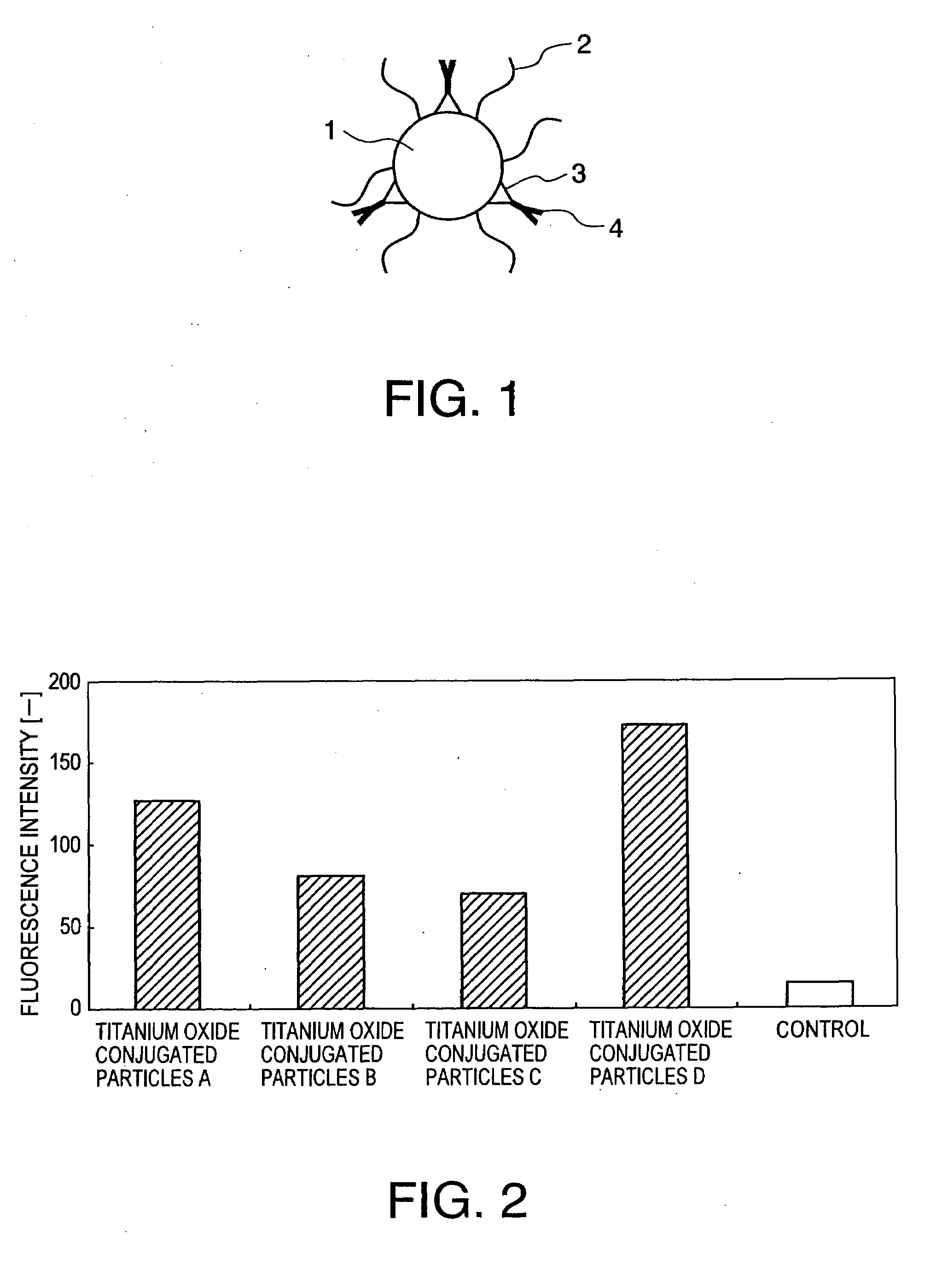 Anti-Tumor Agent