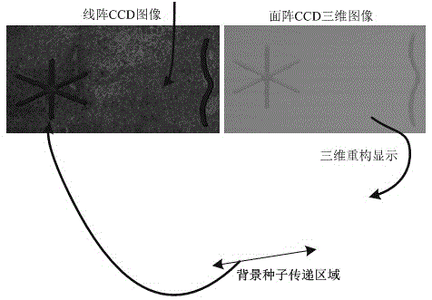 Double ccd scanning imaging detection method for surface defects of continuous casting slab