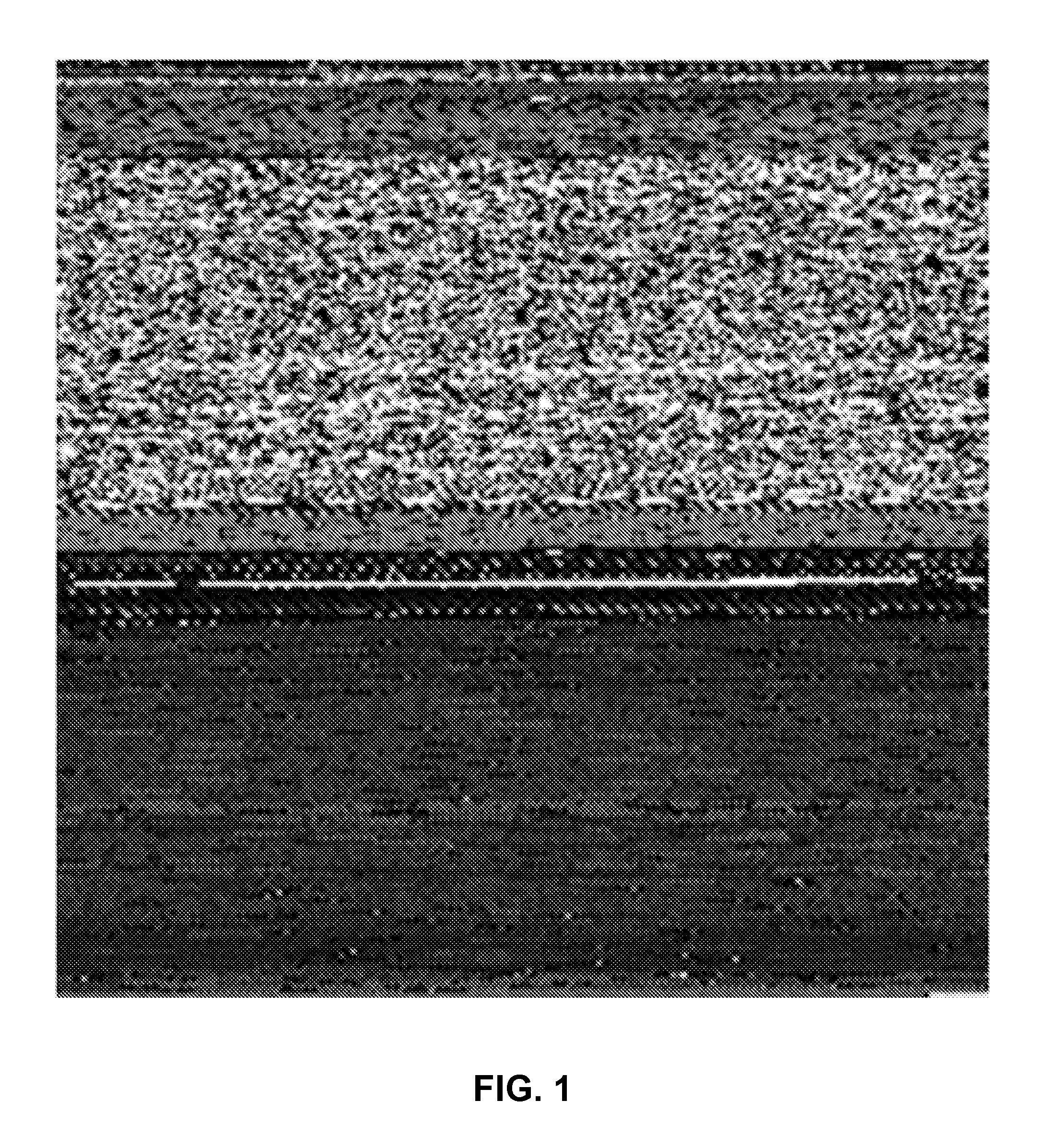 Rapid heuristic method and system for recognition of similarity between malware variants