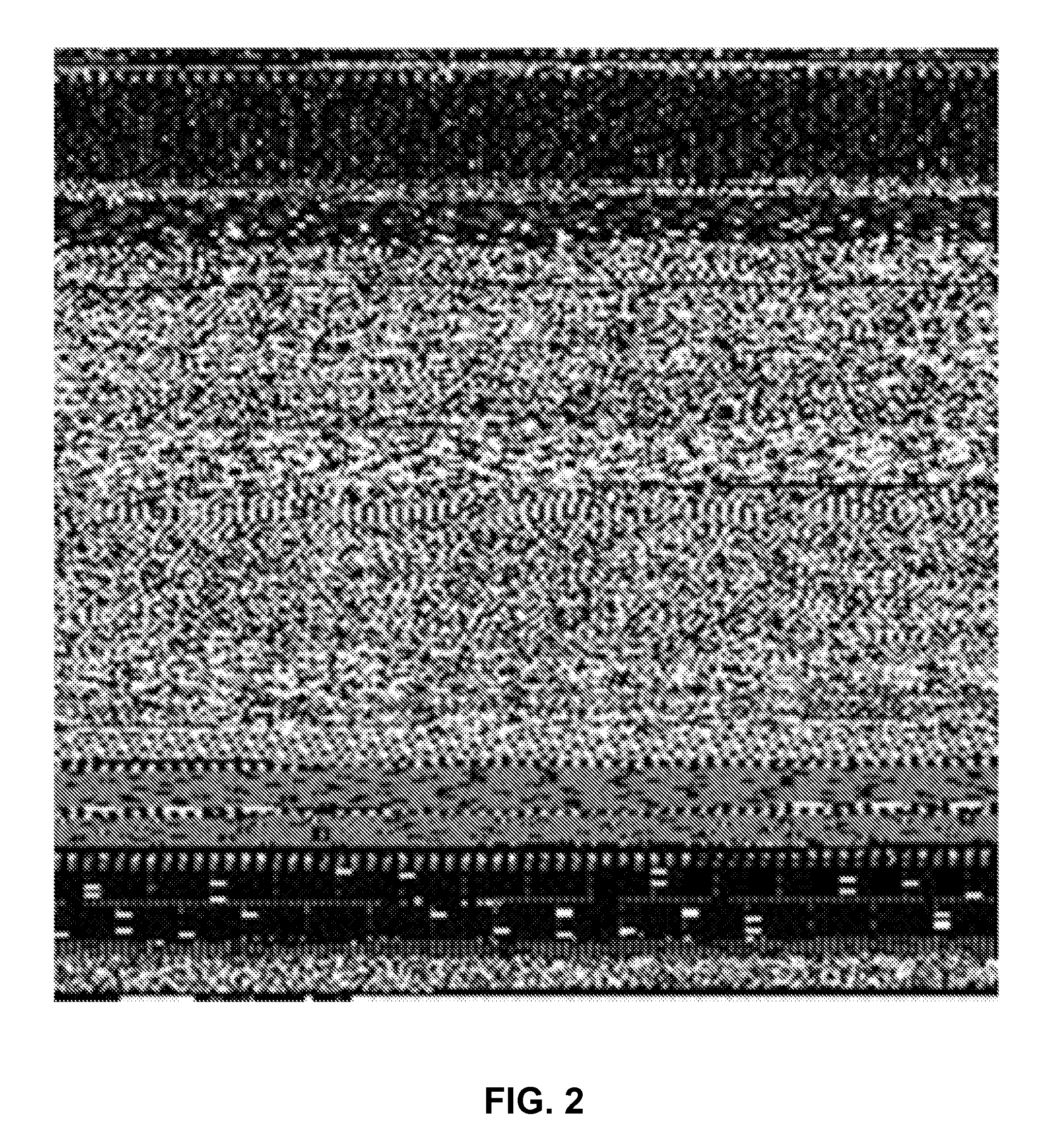 Rapid heuristic method and system for recognition of similarity between malware variants