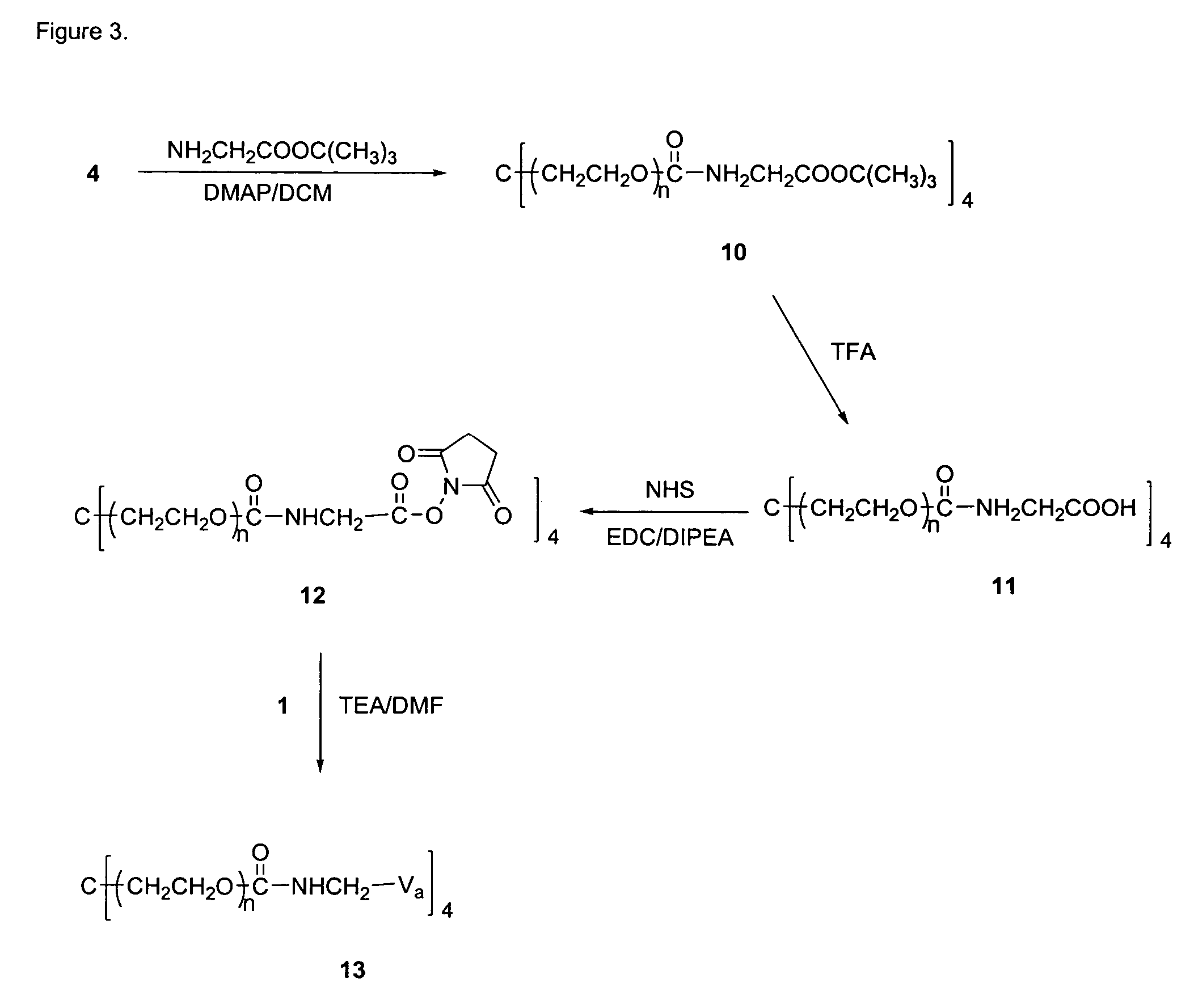 Prodrugs of vancomycin with hydrolysis resistant polymer linkages