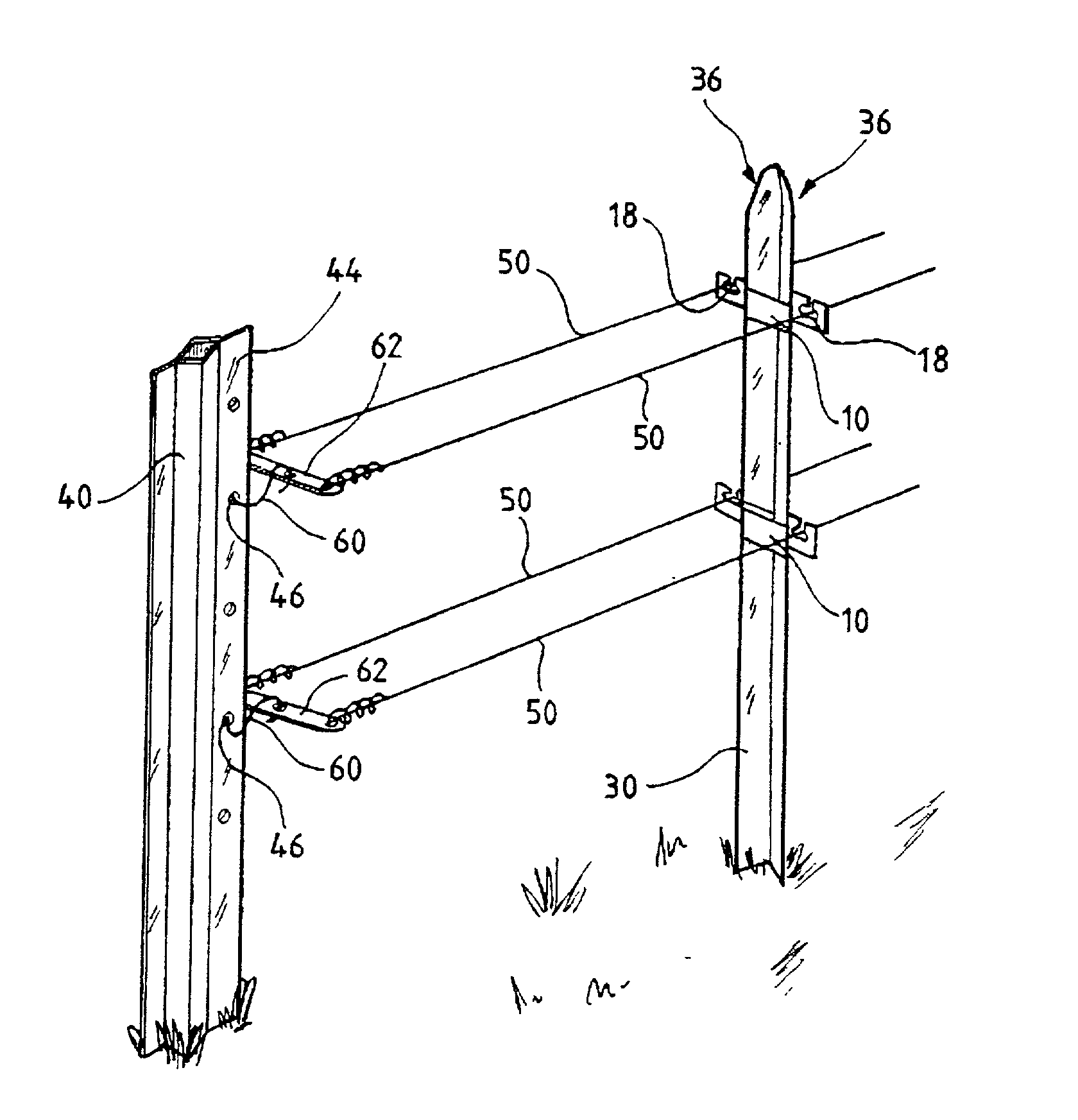 Assembly for training plants, in particular vines