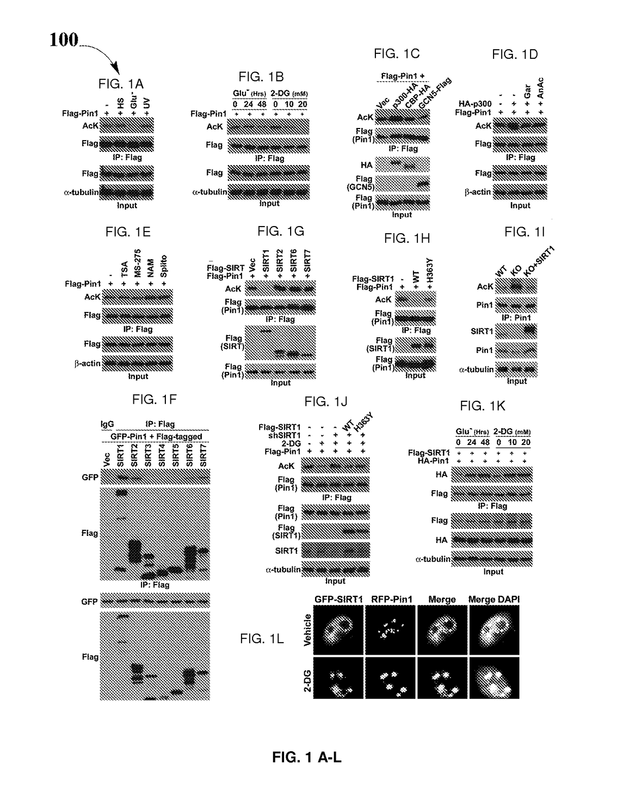 Biomarkers for pin1-associated disorders