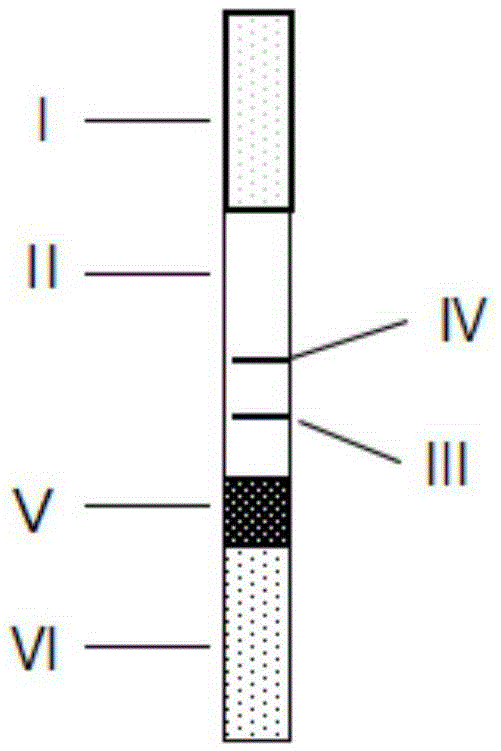 Detection device for simultaneously and quantitatively detecting SAA/PCT/CRP