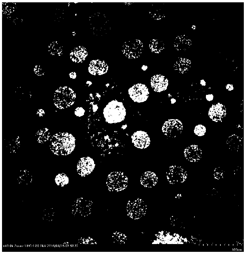 PH-sensitive targeted LPNs (lipid poly-L-histidine hybrid nanoparticles) for encapsulating anti-tumor drugs