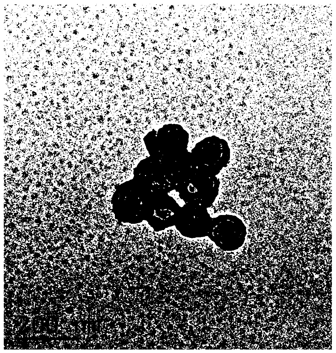 Nanocapsule type polydopamine drug material and preparation method and application thereof