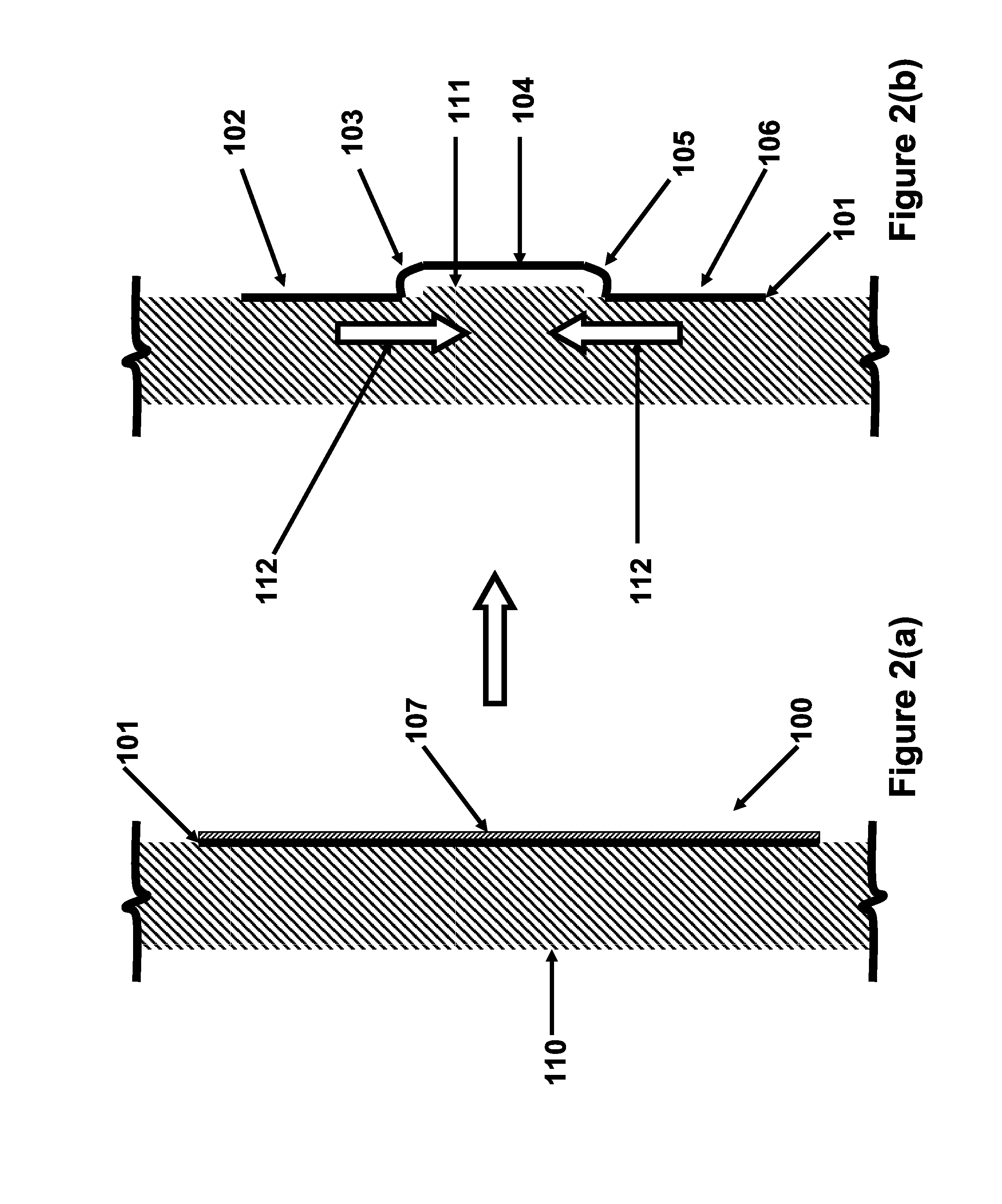 Shape and pressure adjustable dressing