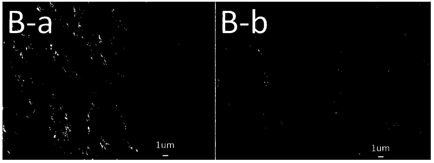 Baking-free brick using coal gangue and red mud as main materials, and preparation method for baking-free brick