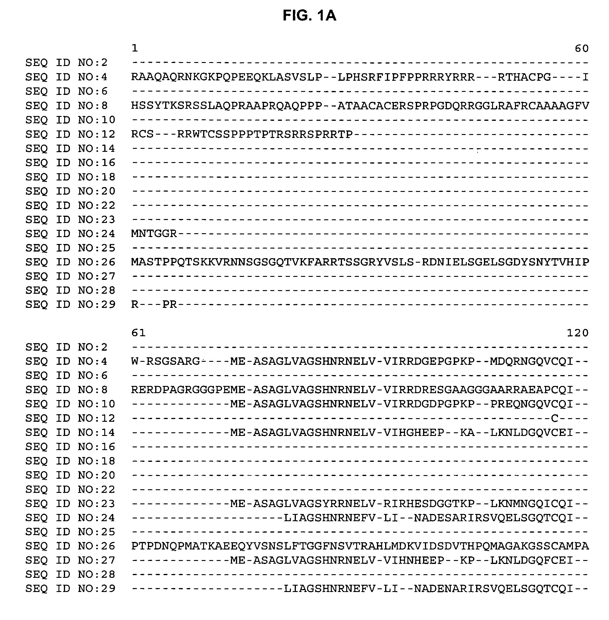 Plant cellulose synthases