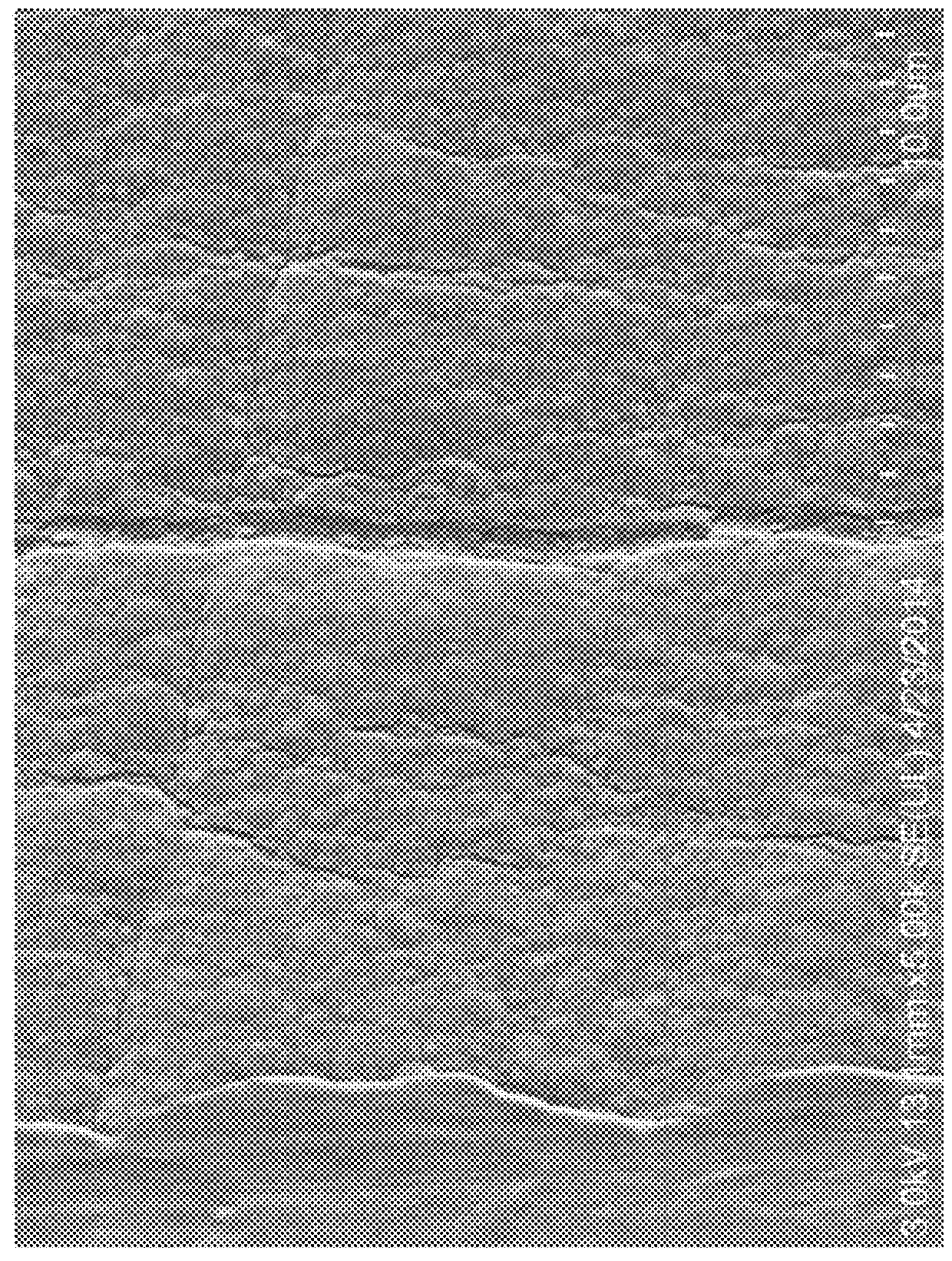 Porous Articles Formed From Polyparaxylylene and Processes For Forming The Same